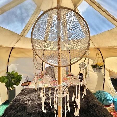 The Pisces-A Stargazing, Luxury Glamping Tent Rogersville Esterno foto