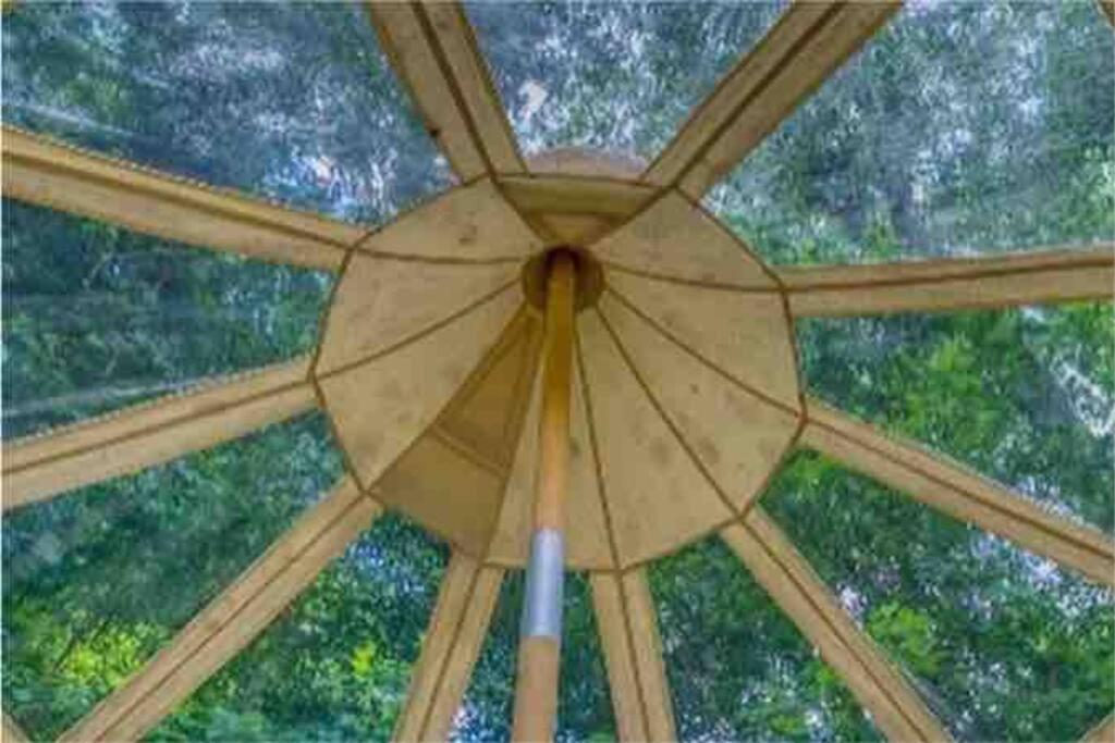 The Pisces-A Stargazing, Luxury Glamping Tent Rogersville Esterno foto